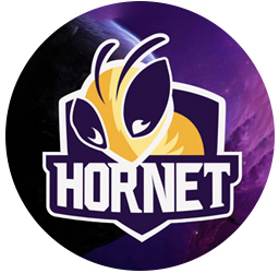 El Hornet